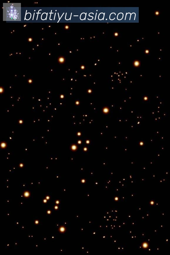 APP界面展示